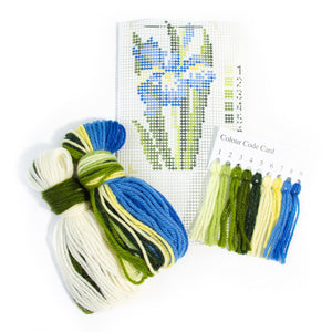 Starter Needlepoint Kits