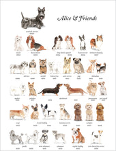 Load image into Gallery viewer, Alice &amp; Friends Notepad Sets
