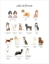 Load image into Gallery viewer, Alice &amp; Friends Notepad Sets
