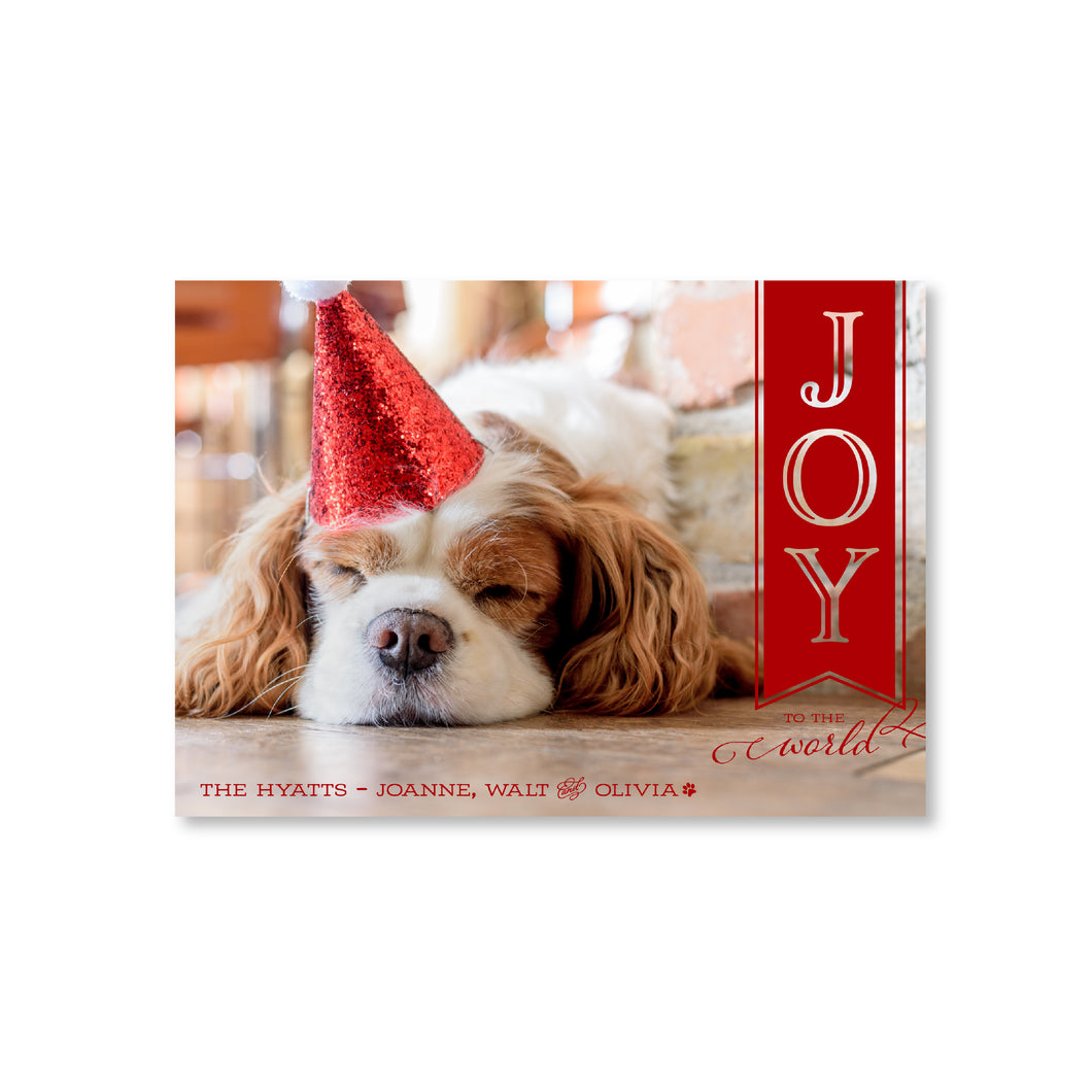 Joy Banner